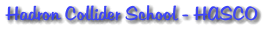 Hadron Collider School - HASCO